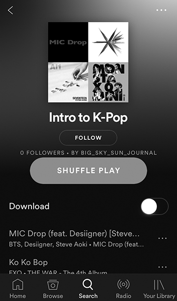 Intrested in K-pop check out our Intro to K-pop Playlist on spotify 