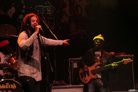 Singer with dreadlocks, lead guitarist.