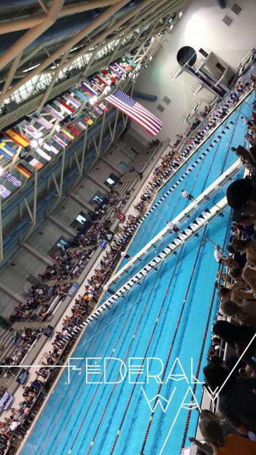 a long, blue swimming pool with flags above it and a crowd.
