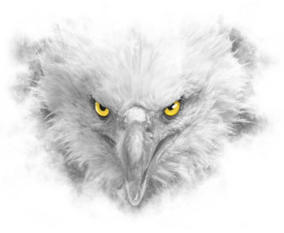 Eagle face