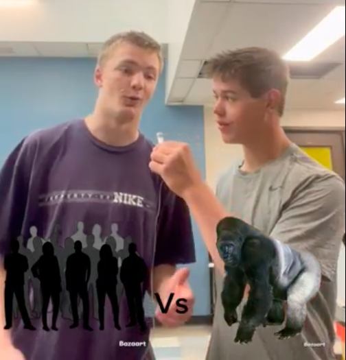 Wired Up: Who will win, 100 people or one gorilla?
