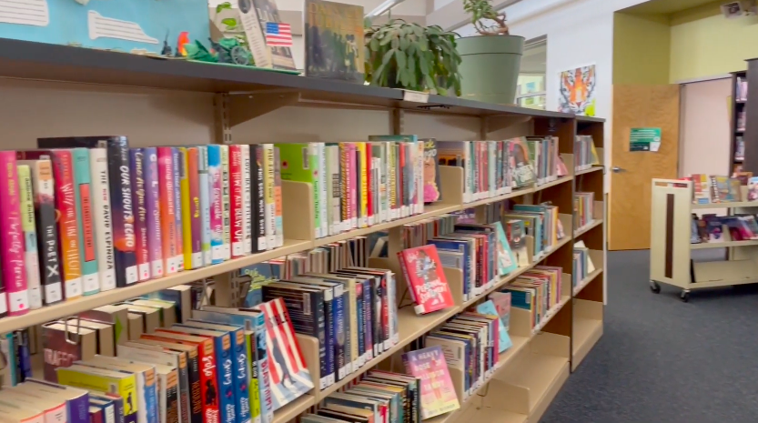 Video Feature: Meet the Big Sky Library